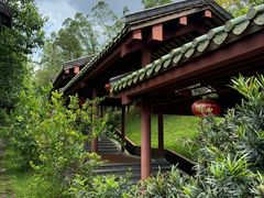 -广州神农草堂中医药博物馆