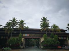 -呀诺达热带雨林