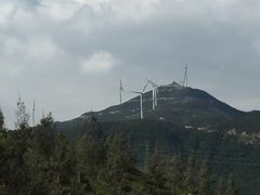 -盐洲岛