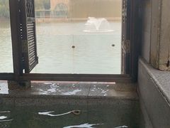 -春晖园度假酒店温泉