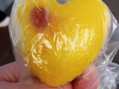 -美罗城