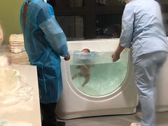 -优护佳月嫂育儿嫂中心(静安店)