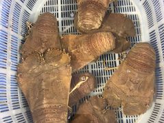 -鸿港海鲜批发市场