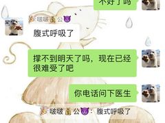 -雨林宠物医院 非犬猫异宠专科
