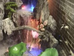 -富侨养生(光大会展店)