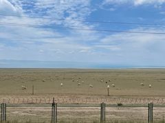 -青海湖国家重点风景名胜区