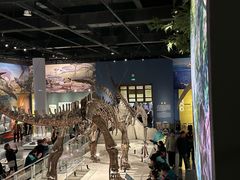 -国家自然博物馆