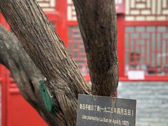 -北京鲁迅博物馆(北京新文化运动纪念馆鲁博馆区)