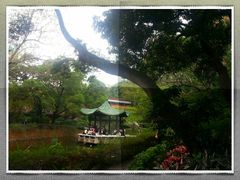 -九龙公园