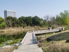 -澹台湖公园