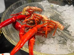 -红盔甲·小龙虾(人民广场店)