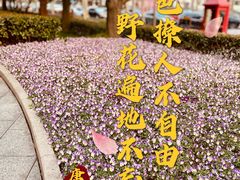 -徐家汇公园