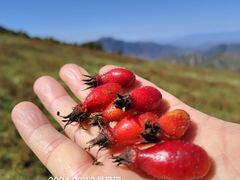 -儒宴江南菜·新淮扬菜·烤鸭(总部基地丰体店)