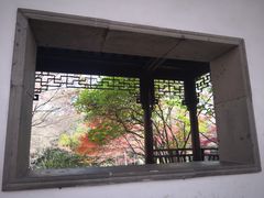 -秋霞圃