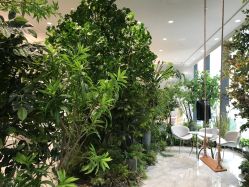 -MuseMarry婚纱(前海嘉里中心店)