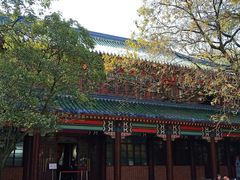 -灵谷景区