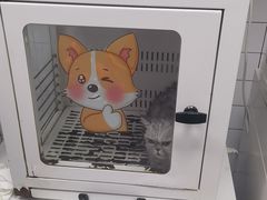 -瑞派康怡24h宠物医院·犬猫医疗中心·微创绝育(瑞景分院)