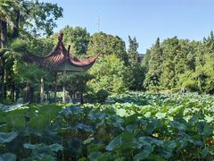 -中国科技大学-专家楼食堂