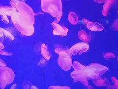 -皇家极地海洋世界-售票处