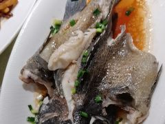 -舌尖上·霞浦滩涂海鲜·新闽菜(总店)