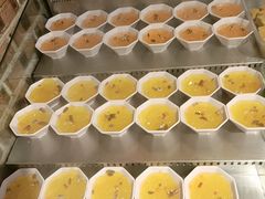 -成老灶火锅鸡(平山店)