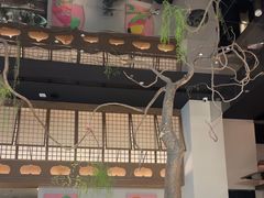 -桂满陇·海市蜃楼·黑金(国金店)