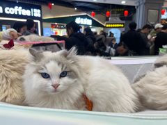 -吾悦广场(南京鼓楼店)