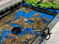-川骄海鲜自助(河东店)