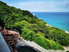 -放鸡岛生态旅游国际度假区