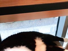 -COSTA COFFEE(常熟路店)