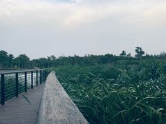 -郑东新区龙湖公共艺术中心