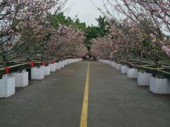 -观澜湖生态运动公社