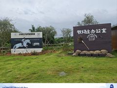 -空港花田景区