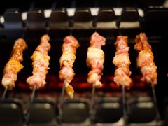 -很久以前羊肉串(朝阳路店)
