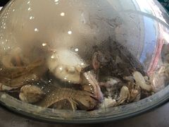-海岸风情蒸汽海鲜自助餐厅(家宴金手勺店)