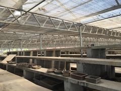 IMG_2148-中国唐苑