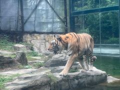 -深圳野生动物园