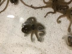-西门岛码头海鲜馆