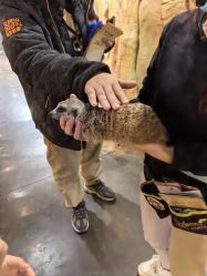 -Zoolung Zoolung动物主题公园(海信广场店)