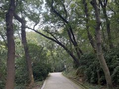 -虞山风景区
