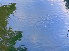 -西湖外事游船(湖滨二公园外事游船码头)