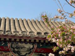 -海棠花溪(元大都城垣遗址公园)