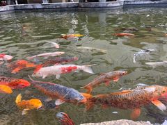 -广州花园酒店