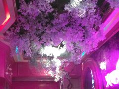 -火吧PTV聚会餐厅(6号店)