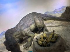 -国家自然博物馆