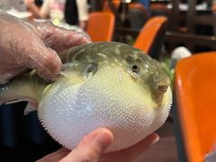 -肆月河豚·淮扬菜·湘菜(华天店)