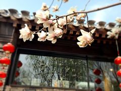 -三里河公园