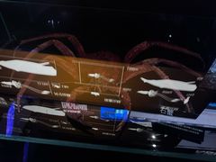 -同济大学四平路校区深海探索馆