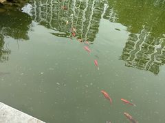 -新川办餐厅
