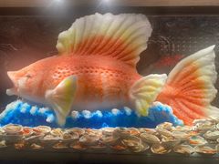 -雍容荟帝王蟹活龙虾展台自助(IFS黑金店)